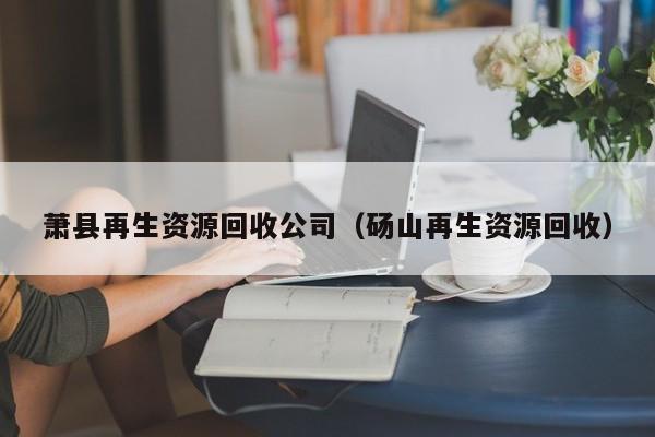 蕭縣再生資源回收公司（碭山再生資源回收）