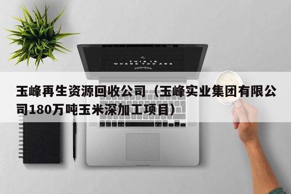 玉峰再生資源回收公司（玉峰實業(yè)集團(tuán)有限公司180萬噸玉米深加工項目）